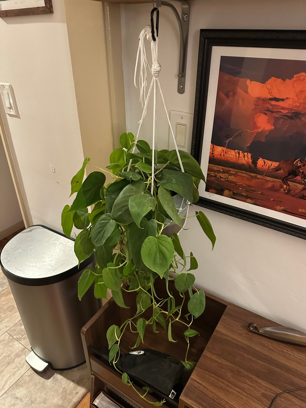 Pot Hanger