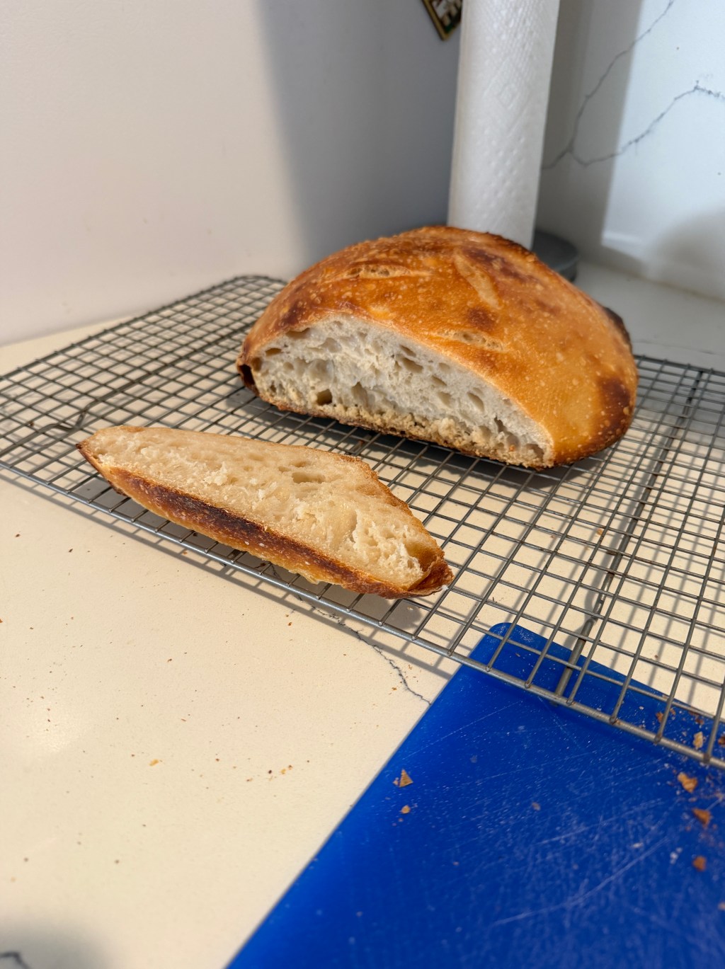 First Sourdough, Tomato Soup, and Grilled&nbsp;Cheese